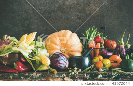 Assortment of various Autumn vegetables from local market, copy space Assortment of various Autumn vegetables from local market, copy space 43972044
