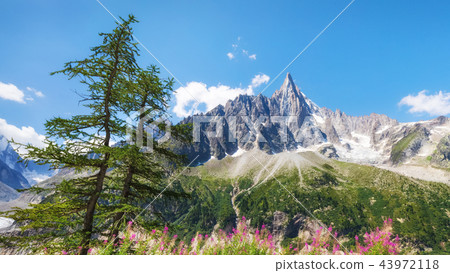 Traveling to beautiful French Alps in summer 43972118