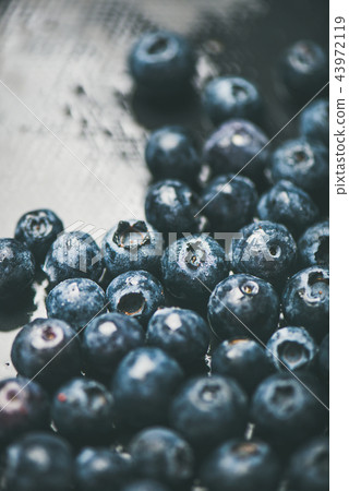 Fresh forest blueberry texture, wallpaper and background 43972119