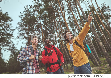 Three guys are finding way out of forest Three guys are finding way out of forest 43972365