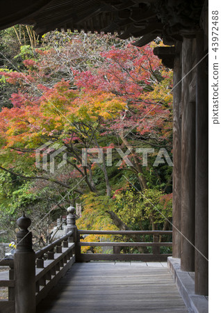 猩紅色的邊緣 猩紅色的邊緣 43972488