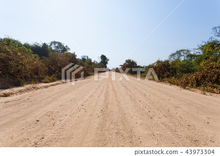 Brazilian dirt road in perspective 43973304