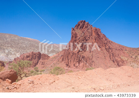 Bolivian canyon near Tupiza,Bolivia 43973339