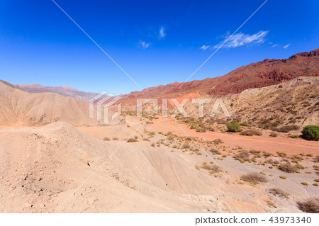 Bolivian canyon near Tupiza,Bolivia 43973340