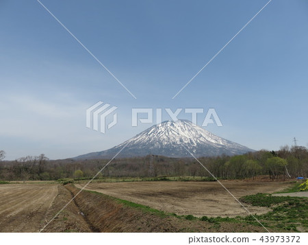 Mount Yotei Mount Yotei 43973372