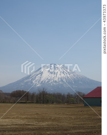 Mount Yotei Mount Yotei 43973373