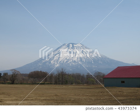 Mount Yotei Mount Yotei 43973374