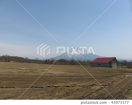 Mount Yotei Mount Yotei 43973377