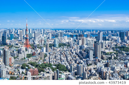 Tokyo blue sky and urban landscape Tokyo blue sky and urban landscape 43973419