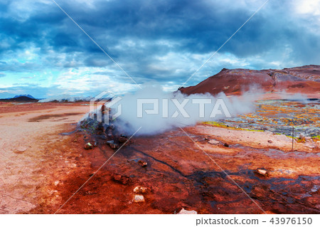 Smoking fumaroles on Hverarond valley Smoking fumaroles on Hverarond valley 43976150