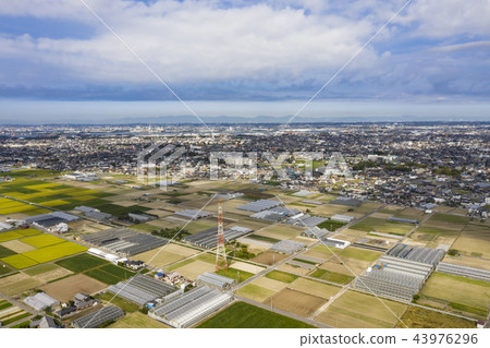 Regional city aerial view Regional city aerial view 43976296