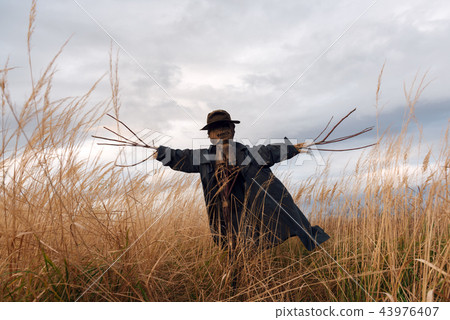 Scary scarecrow in a hat Scary scarecrow in a hat 43976407