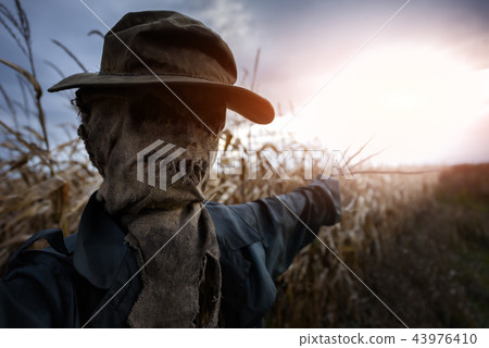 Scary scarecrow in a hat Scary scarecrow in a hat 43976410