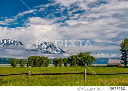 Old barn in Grand Teton Mountains Old barn in Grand Teton Mountains 43977288