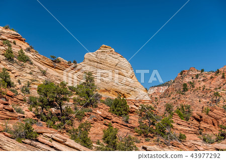 Landscape in Zion National Park 43977292