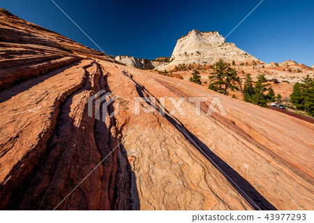 Landscape in Zion National Park 43977293