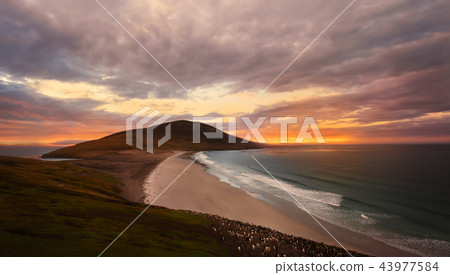 Sunset at the Neck, Sounders Island 43977584