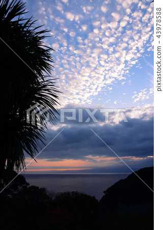 Enoshima sunset view 43978588