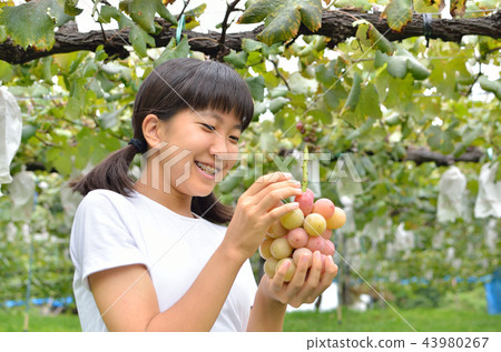 Girl enjoying grape hunting Girl enjoying grape hunting 43980267