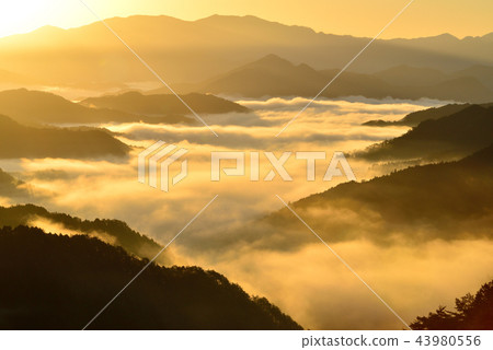 野坂川村的雲海 43980556