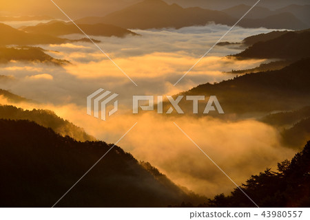 野坂川村的雲海 43980557