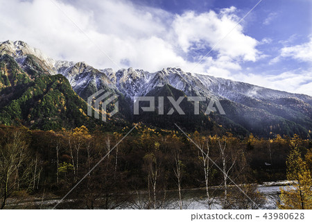 雪和秋葉風景 43980628