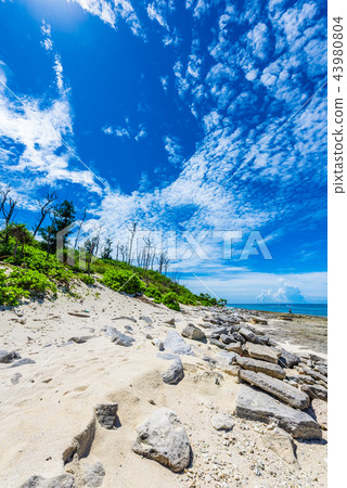 沖繩Minnajima海灘 沖繩Minnajima海灘 43980804