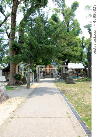 The main shrine of Taosai-gu (Amaguri-cho) The main shrine of Taosai-gu (Amaguri-cho) 43980825