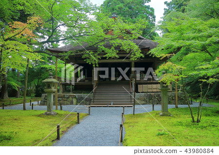 Sansenin Pastry Academy 43980884