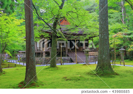 Sansenin Pastry Academy 43980885