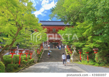 Kurama-ji Temple under the clear sky 43980897