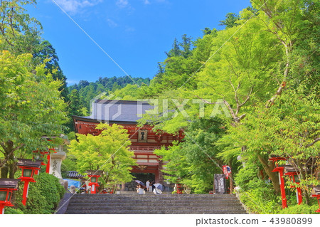 Kurama-ji寺在晴朗的天空下 Kurama-ji寺在晴朗的天空下 43980899
