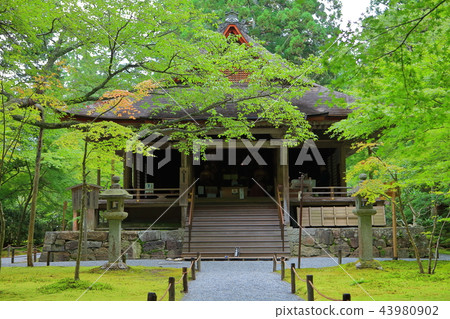 Sansenin糕點學院 Sansenin糕點學院 43980902