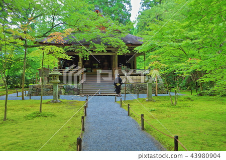 Sansenin Pastry Academy 43980904