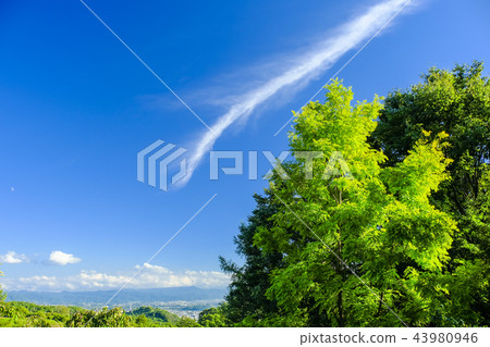 Ryuunoku和城市景觀 43980946