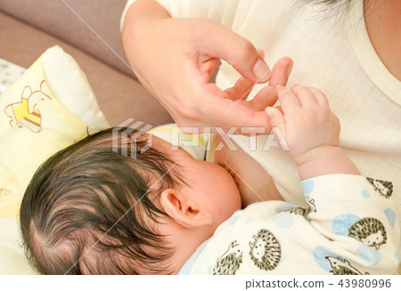Breast-feeding Breast-feeding 43980996