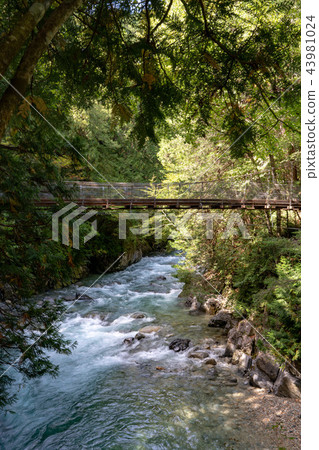 Mountain stream in Atera Valley, Nagano Prefecture Mountain stream in Atera Valley, Nagano Prefecture 43981024