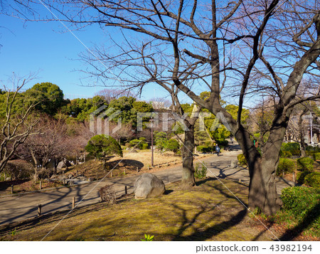 隅田公園 隅田公園 43982194