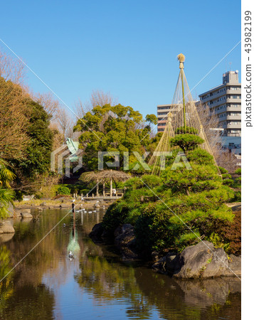 Sumida Park 43982199