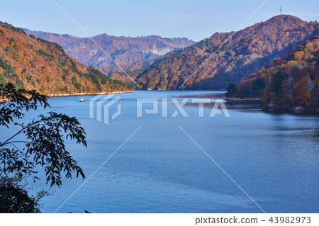 Niigata Prefecture Okutami Lake with colored leaves 43982973