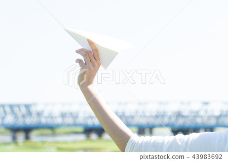 paper airplane  43983692