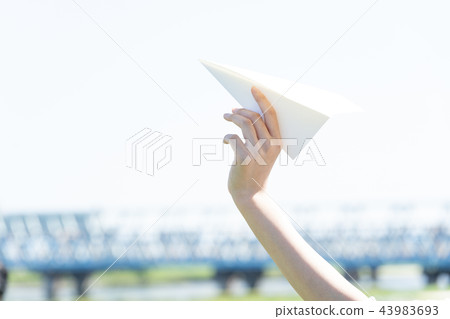paper airplane  43983693