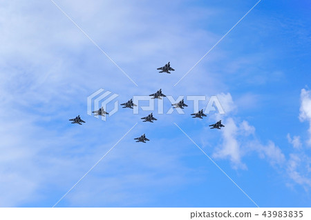 F-15J / DJ大型編隊飛行 43983835