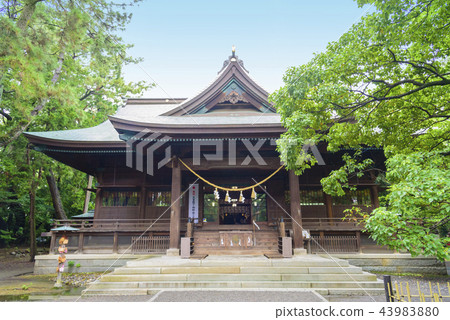 Hamamatsu Hachimangu Shrine's worship hall (Hamamatsu City, Shizuoka Prefecture) 43983880