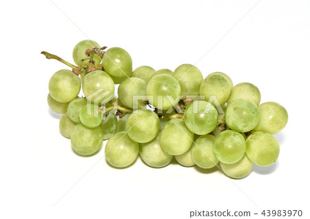 Grape (Niagara) Grape (Niagara) 43983970