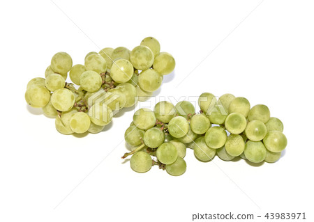 Grape (Niagara) 43983971