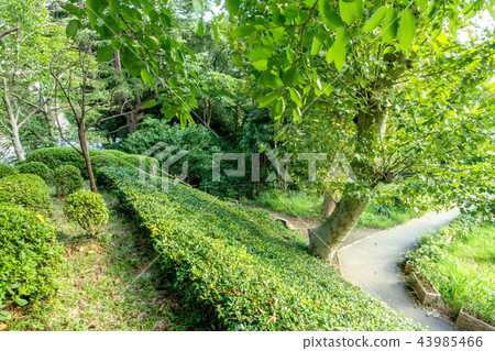 Misidentification 43985466