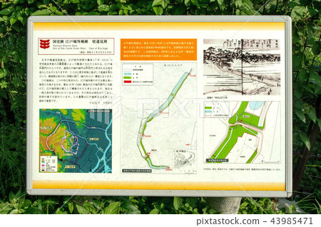 Misidentification 43985471