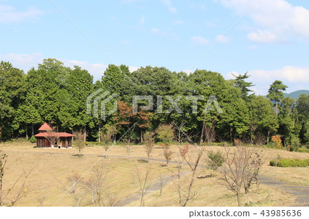 Iwakura Park in Kibi Chuo Town Iwakura Park in Kibi Chuo Town 43985636