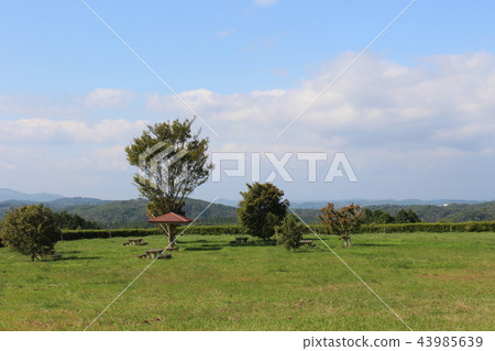 Landscape of Kibi Chuo Town 43985639